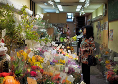 甘肃省金昌市天水路花店